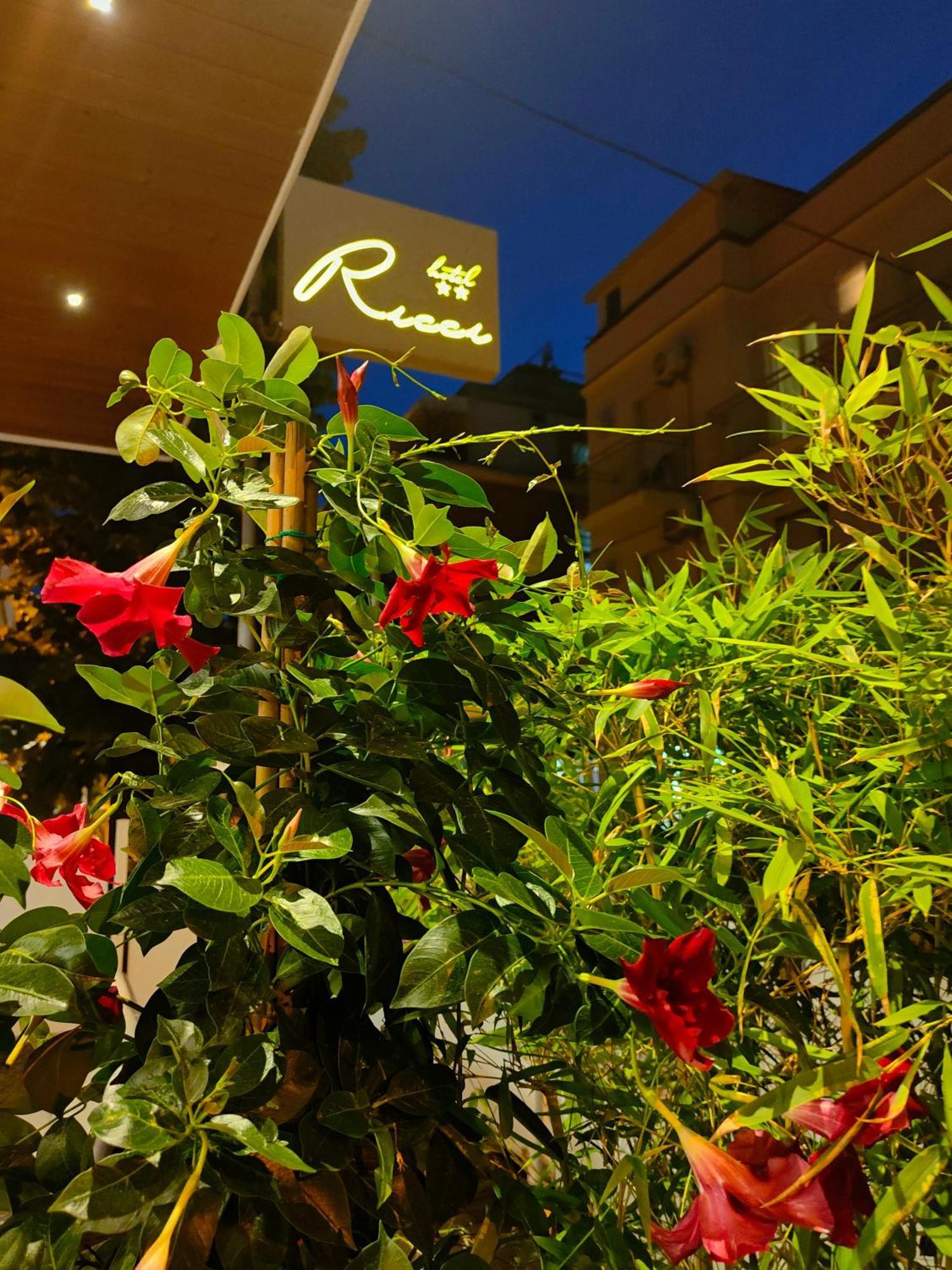 Hotel Ricci 里米尼 外观 照片